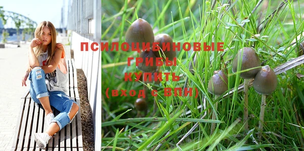 MDMA Premium VHQ Бугульма