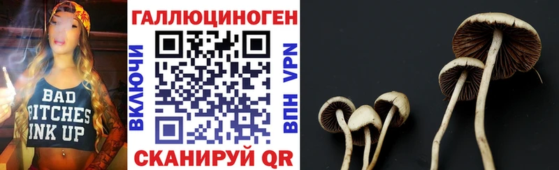 наркотики  Зеленодольск  кракен ссылки  Галлюциногенные грибы прущие грибы 